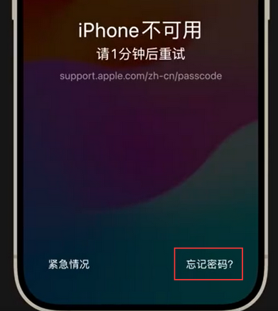 镇远苹果手机密码维修分享iPhone忘记了刚设置的密码 