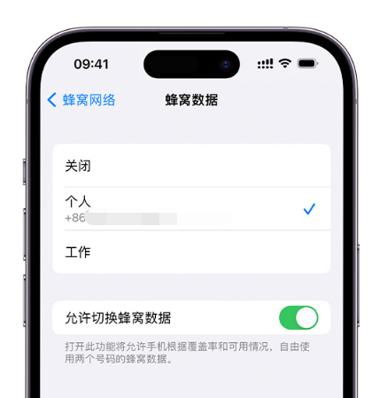 镇远苹果维修服务分享如何在iPhone上使用双卡 