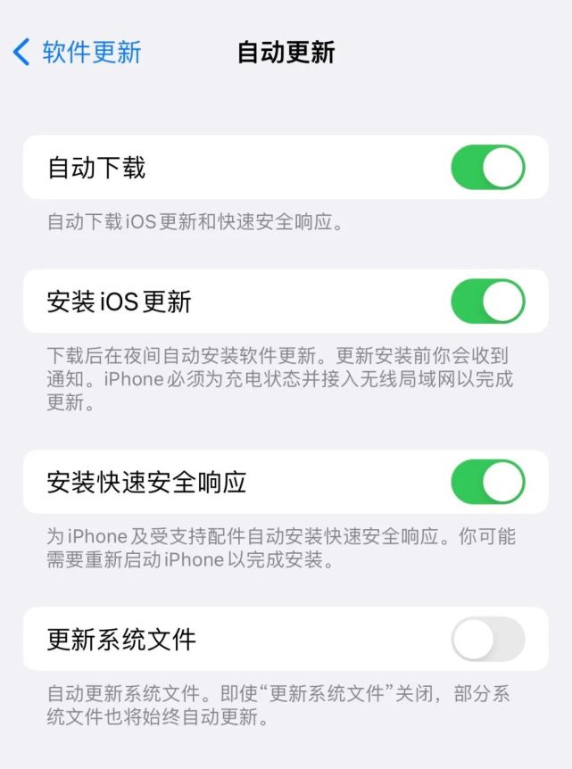 镇远苹果手机维修分享苹果快速安全响应更新有必要安装吗 